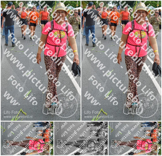 Evenement foto: Nijmeegse Vierdaagse 1099