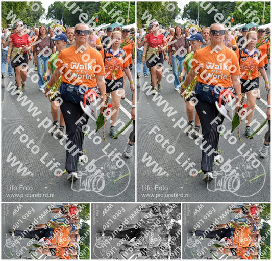 Evenement foto: Nijmeegse Vierdaagse 1099