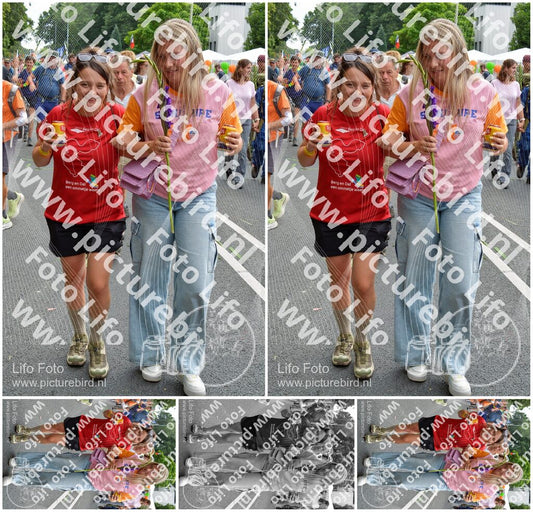Evenement foto: Nijmeegse Vierdaagse 1099
