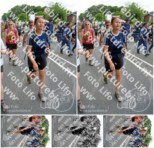 Evenement foto: Nijmeegse Vierdaagse 1099