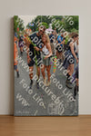Evenement foto: Nijmeegse Vierdaagse 1099