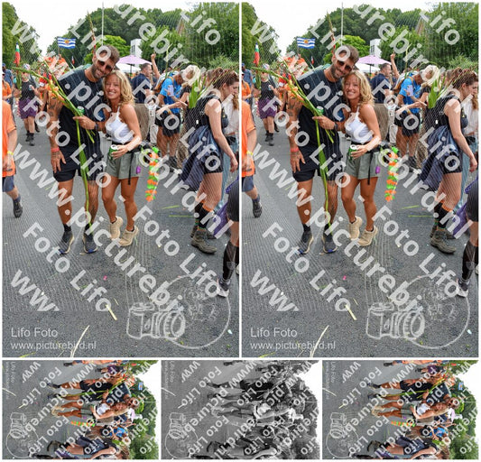 Evenement foto: Nijmeegse Vierdaagse 1099