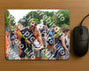 Evenement foto: Nijmeegse Vierdaagse 1099