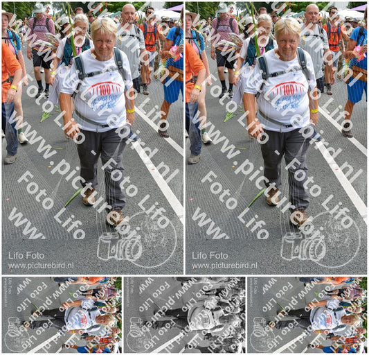 Evenement foto: Nijmeegse Vierdaagse 1099
