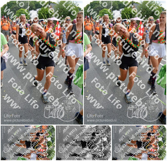 Evenement foto: Nijmeegse Vierdaagse 1099