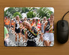 Evenement foto: Nijmeegse Vierdaagse 1099