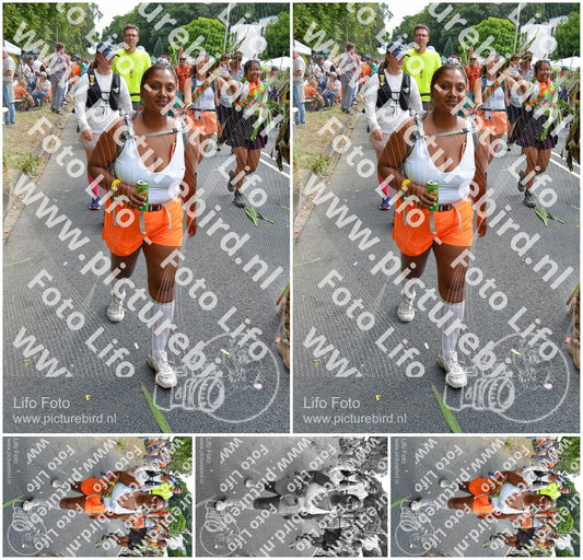 Evenement foto: Nijmeegse Vierdaagse 1099