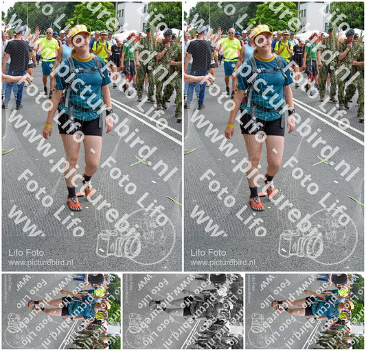 Evenement foto: Nijmeegse Vierdaagse 1099