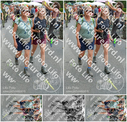 Evenement foto: Nijmeegse Vierdaagse 1099