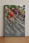 Evenement foto: Nijmeegse Vierdaagse 1098