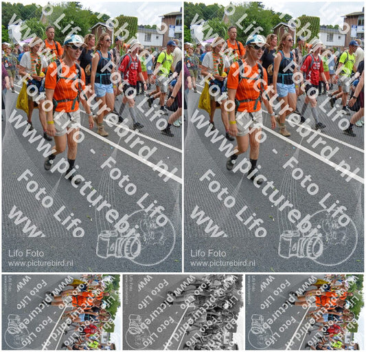 Evenement foto: Nijmeegse Vierdaagse 1098