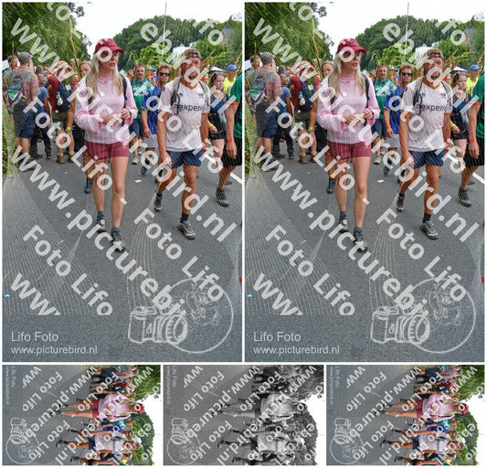 Evenement foto: Nijmeegse Vierdaagse 1098
