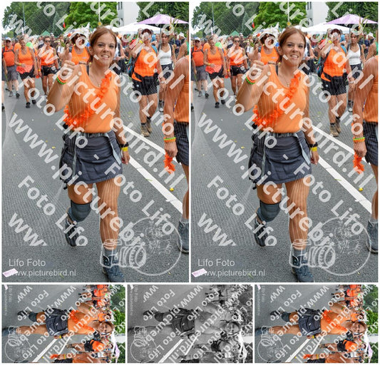Evenement foto: Nijmeegse Vierdaagse 1098