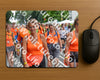 Evenement foto: Nijmeegse Vierdaagse 1098