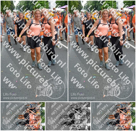 Evenement foto: Nijmeegse Vierdaagse 1098