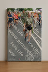 Evenement foto: Nijmeegse Vierdaagse 1098
