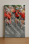 Evenement foto: Nijmeegse Vierdaagse 1098