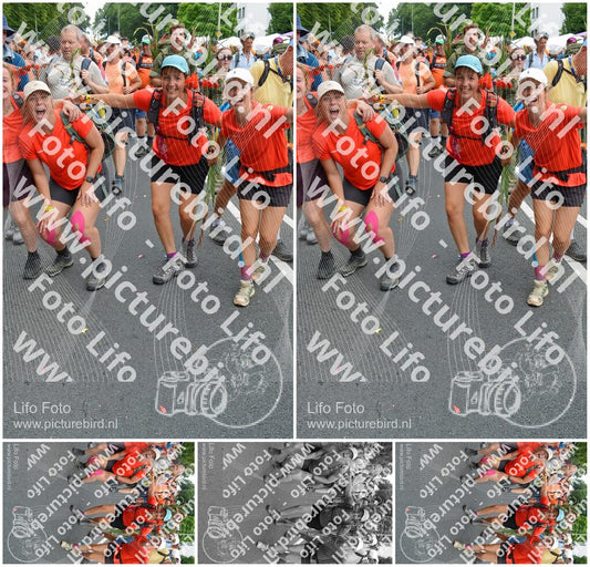 Evenement foto: Nijmeegse Vierdaagse 1098