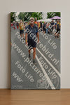 Evenement foto: Nijmeegse Vierdaagse 1098