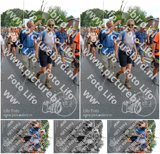 Evenement foto: Nijmeegse Vierdaagse 1098