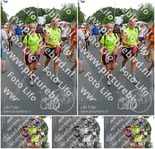 Evenement foto: Nijmeegse Vierdaagse 1098
