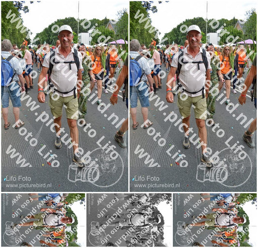 Evenement foto: Nijmeegse Vierdaagse 1098