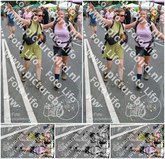 Evenement foto: Nijmeegse Vierdaagse 1098