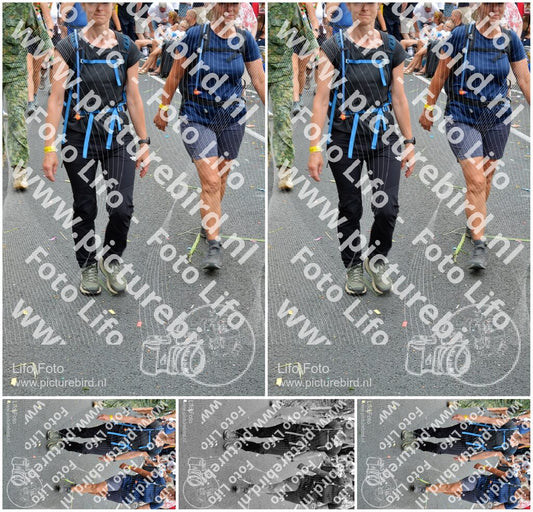 Evenement foto: Nijmeegse Vierdaagse 1098