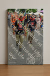 Evenement foto: Nijmeegse Vierdaagse 1098