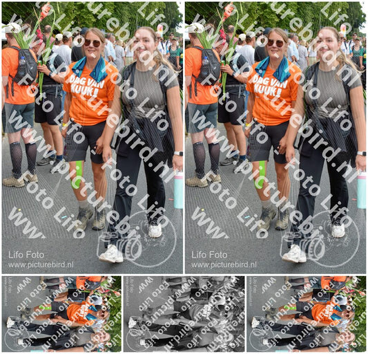 Evenement foto: Nijmeegse Vierdaagse 1098