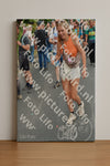Evenement foto: Nijmeegse Vierdaagse 1098