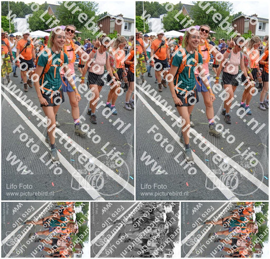 Evenement foto: Nijmeegse Vierdaagse 1098