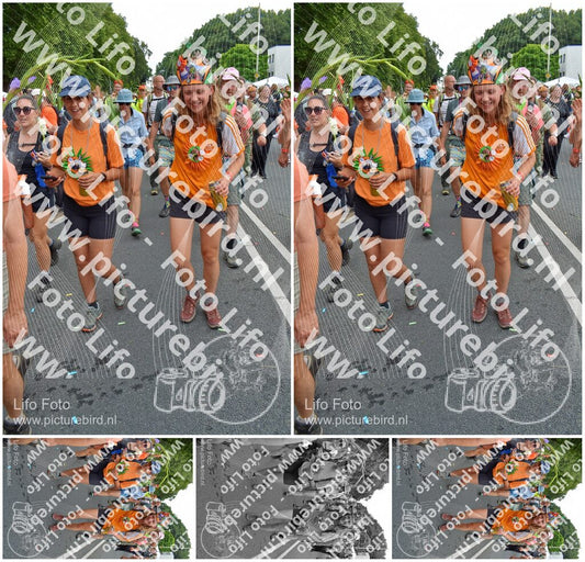 Evenement foto: Nijmeegse Vierdaagse 1098