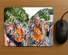 Evenement foto: Nijmeegse Vierdaagse 1098