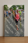 Evenement foto: Nijmeegse Vierdaagse 1098