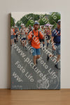 Evenement foto: Nijmeegse Vierdaagse 1098