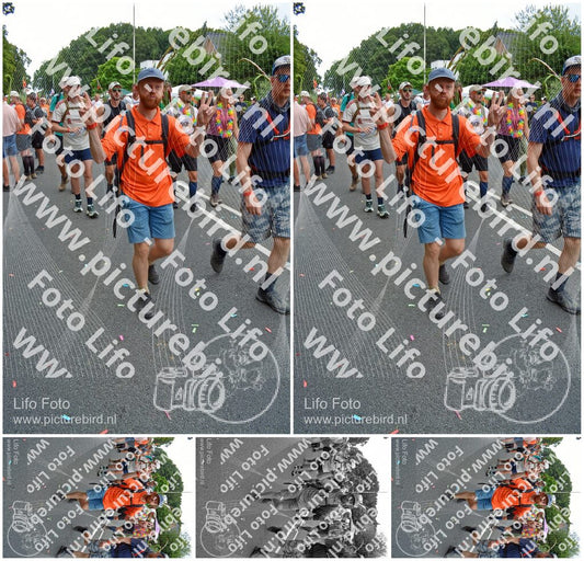 Evenement foto: Nijmeegse Vierdaagse 1098