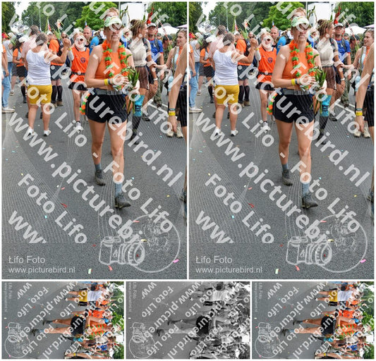 Evenement foto: Nijmeegse Vierdaagse 1098