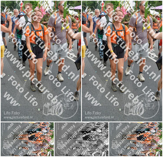 Evenement foto: Nijmeegse Vierdaagse 1098