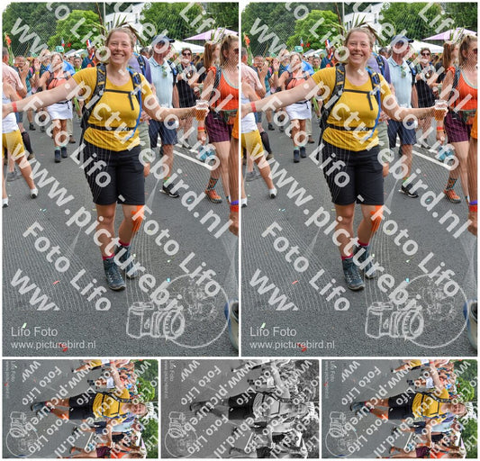 Evenement foto: Nijmeegse Vierdaagse 1098