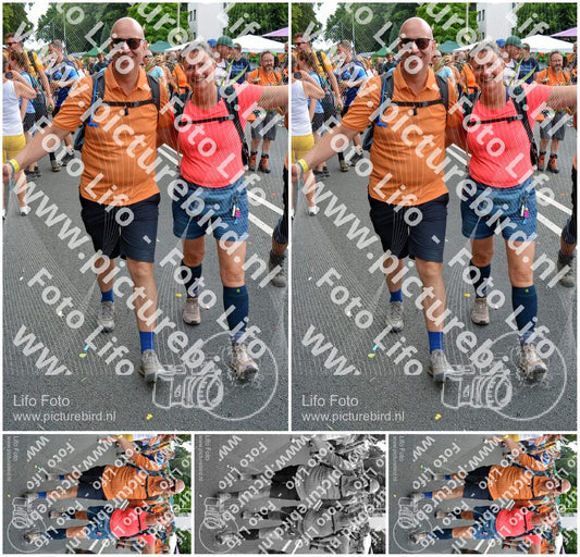 Evenement foto: Nijmeegse Vierdaagse 1098