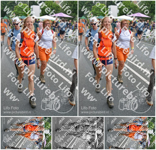 Evenement foto: Nijmeegse Vierdaagse 1098