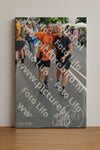 Evenement foto: Nijmeegse Vierdaagse 1098