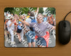 Evenement foto: Nijmeegse Vierdaagse 1098