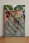 Evenement foto: Nijmeegse Vierdaagse 1097