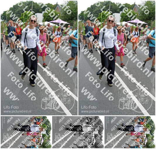 Evenement foto: Nijmeegse Vierdaagse 1097