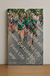 Evenement foto: Nijmeegse Vierdaagse 1097