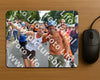 Evenement foto: Nijmeegse Vierdaagse 1097
