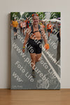 Evenement foto: Nijmeegse Vierdaagse 1097