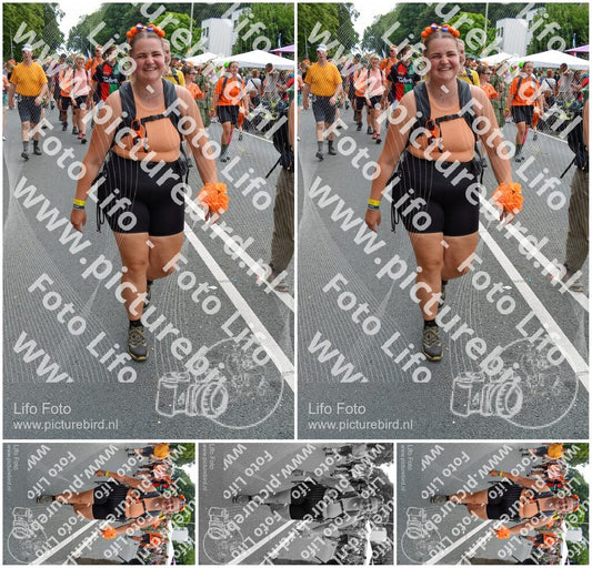 Evenement foto: Nijmeegse Vierdaagse 1097